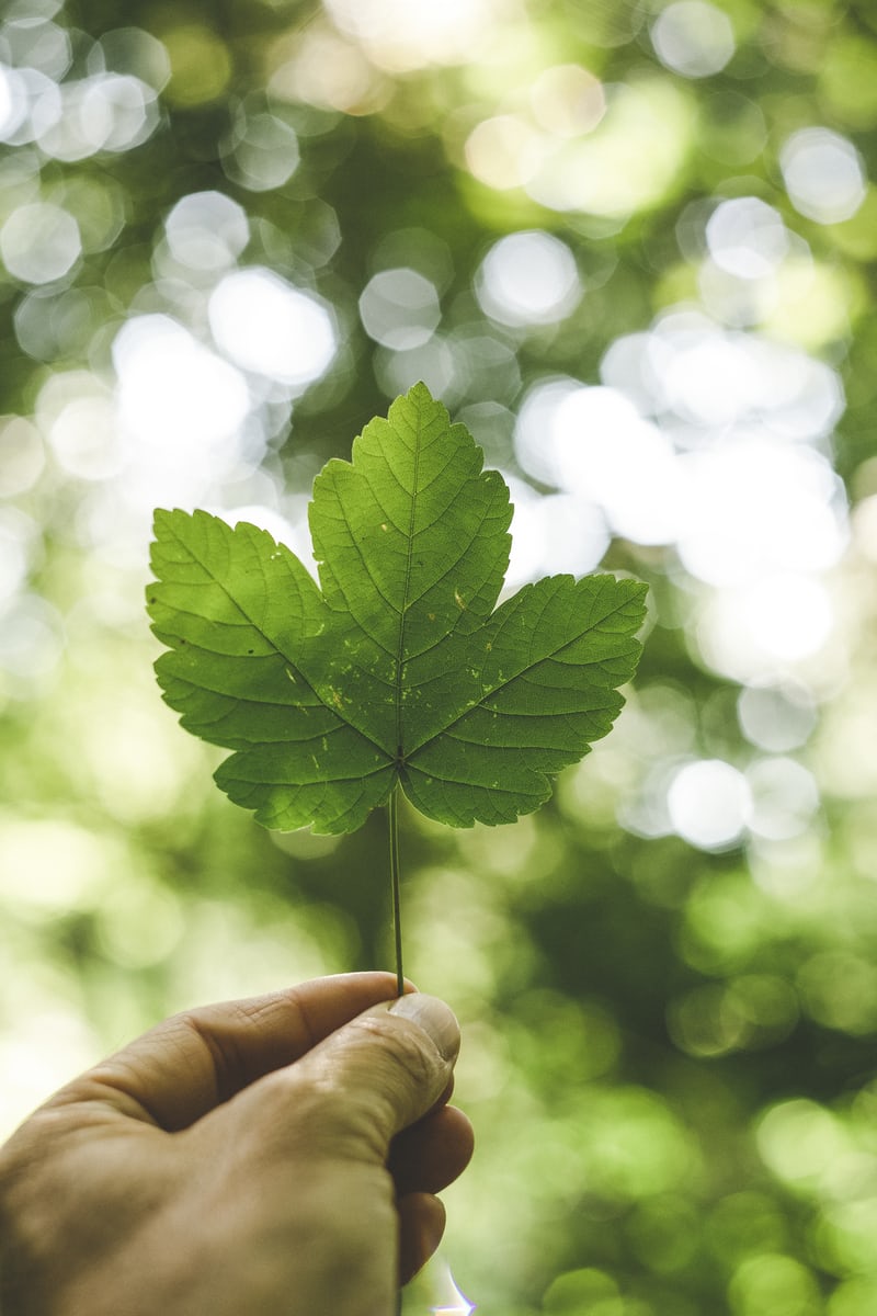 ISO konsult - Ampiro hjälper er med ISO 14001