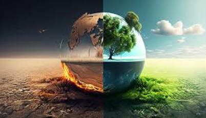 Ampiro hjälper er med SME Climate hub